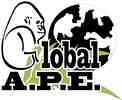 Global A.P.E. Inc